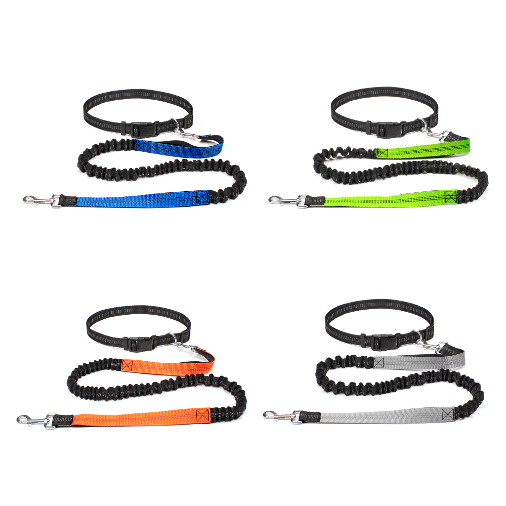 Hand Free Dog Leash for Pet Wa - đánh giá và giá Running Gear Belt
